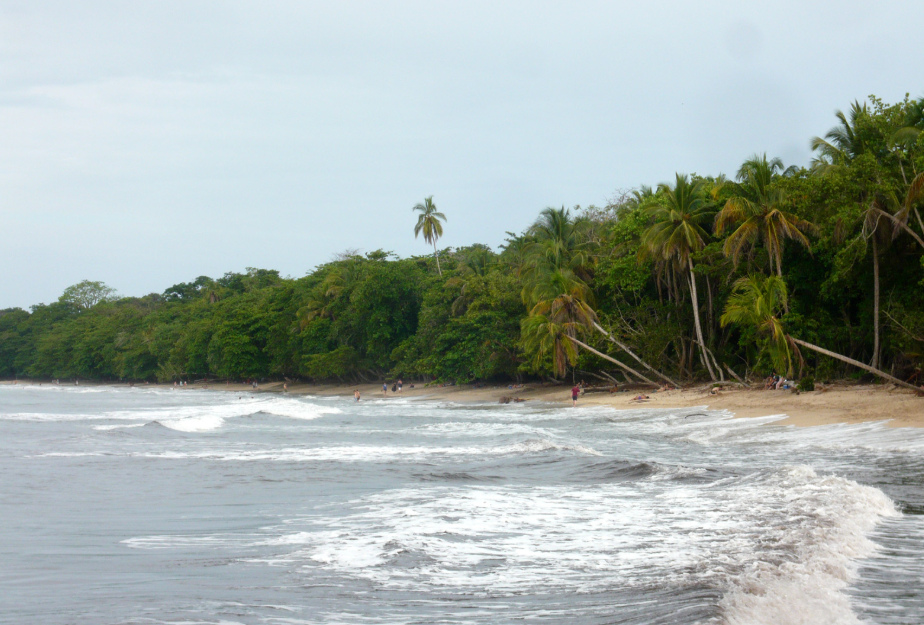 Cahuita National Park, Limón Province, Costa Rica